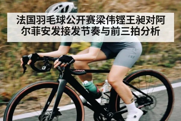 法国羽毛球公开赛梁伟铿王昶对阿尔菲安发接发节奏与前三拍分析